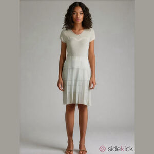 BCBG Max Azria Crochet Short Sleeve Midi Dress Small